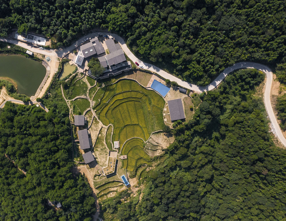 保留稻田，建筑围绕稻田布置 （摄影：金伟琦）Buildings are arranged around the preserved paddy field(Photo by Jin Wei Qi).jpg