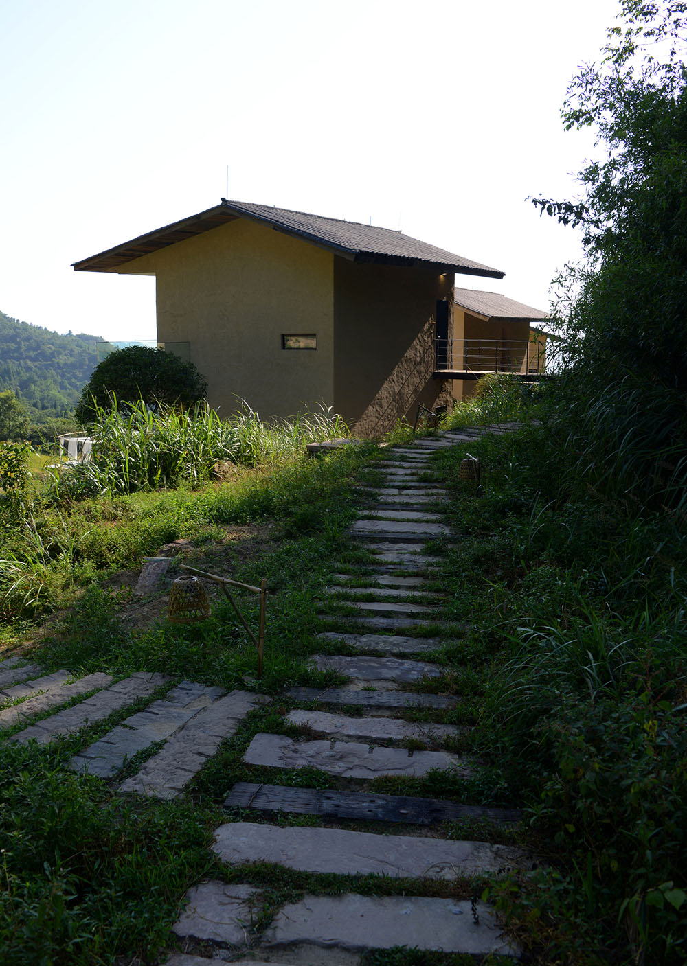 步道采用砧木和石条铺设（摄影：何崴）Trail is paved with rootstocks and stone strips (Photo by He Wei).jpg