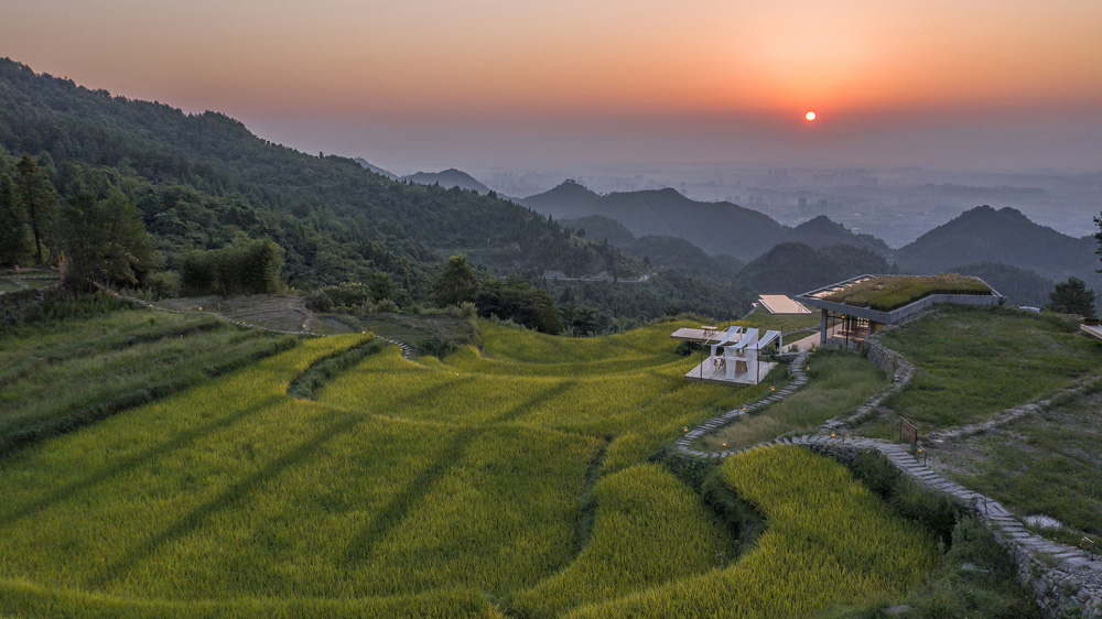餐厅隐于稻田中（摄影：金伟琦）Restaurant hidden in paddy field (Photo by Jin Wei Qi).jpg