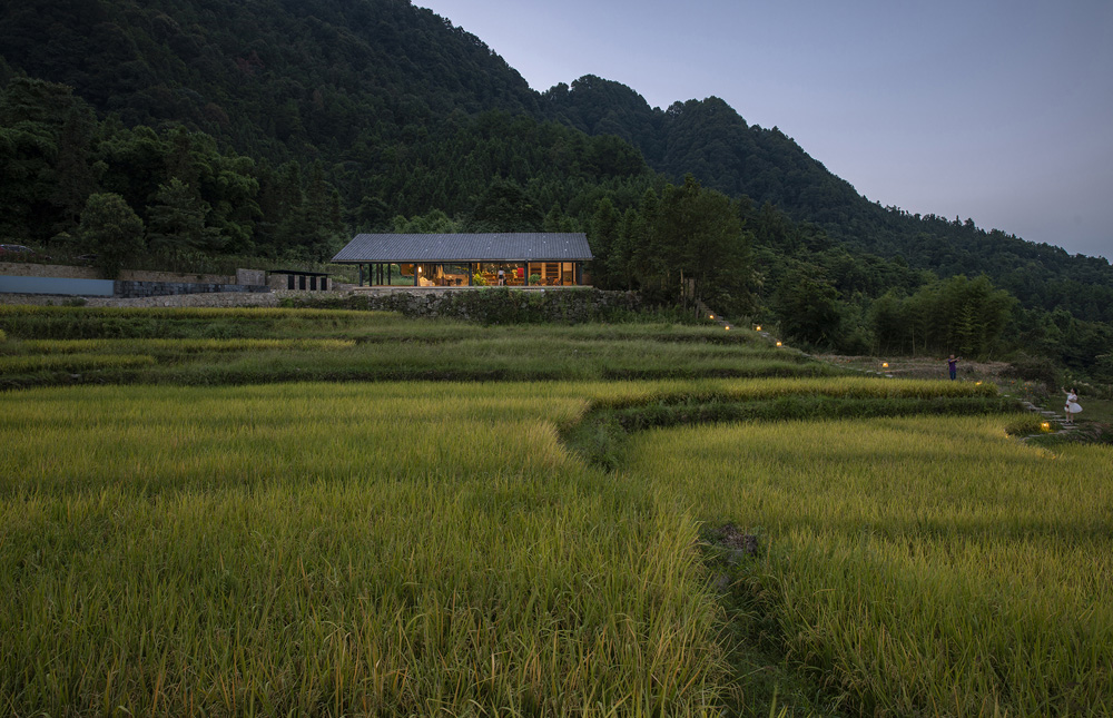 稻田中的小径连接书吧和餐厅（摄影：金伟琦） Path in paddy field connects book bar and restaurant (Photo by Jin Wei Qi).jpg