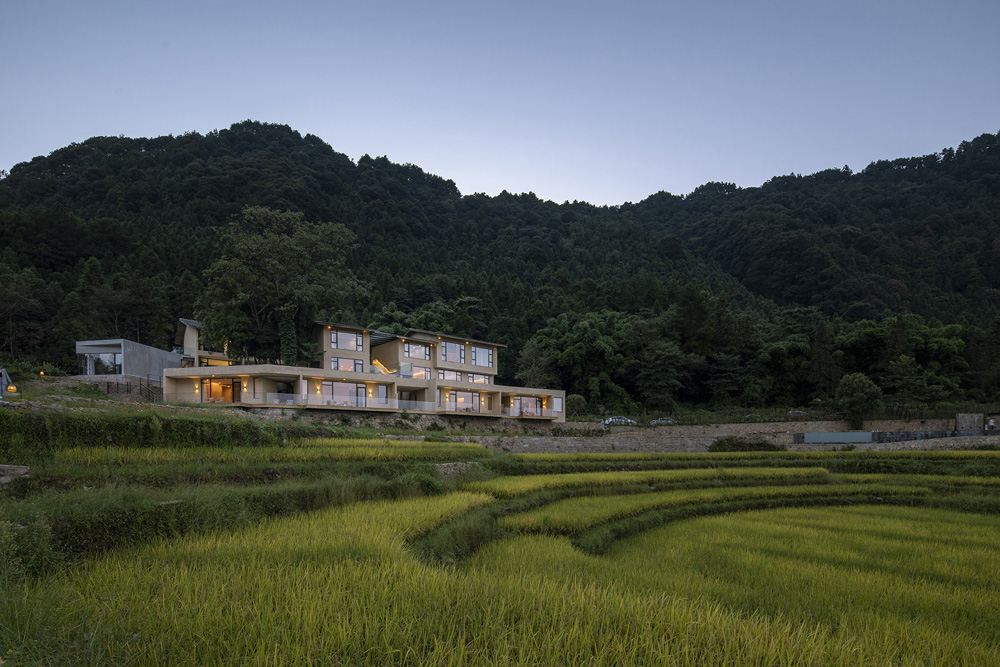 飞茑集民宿，建筑与老树、稻田和谐共处（摄影：金伟琦）StrayBirds B&B, buildings co-exist with old trees and paddy field in harmony(Photo by Jin Wei Qi).jpg