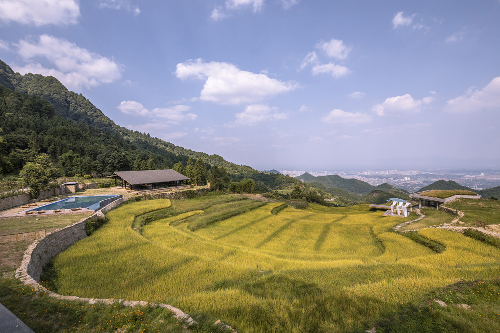 环抱稻田的书吧、泳池和餐厅（摄影：金伟琦） Book bar, swimming pool and restaurant surrounding paddy field (Photo by Jin Wei Qi).jpg